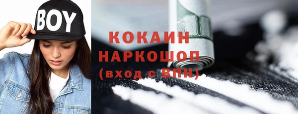 соль ск Пересвет