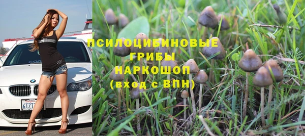 ПСИЛОЦИБИНОВЫЕ ГРИБЫ Покачи