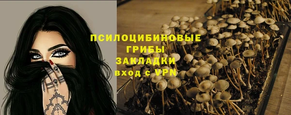 mdpv Покров