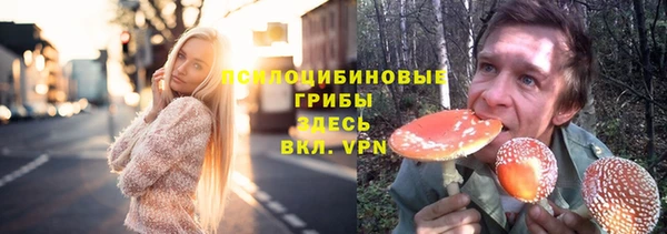 соль ск Пересвет
