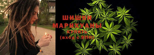 ПСИЛОЦИБИНОВЫЕ ГРИБЫ Покачи