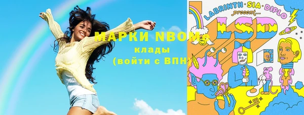 соль ск Пересвет