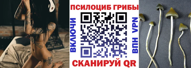 Галлюциногенные грибы Cubensis  Рыбное 